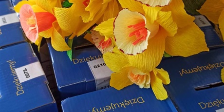 Powiększ grafikę: pola-nadziei-na-pomorzu-696627.jpg